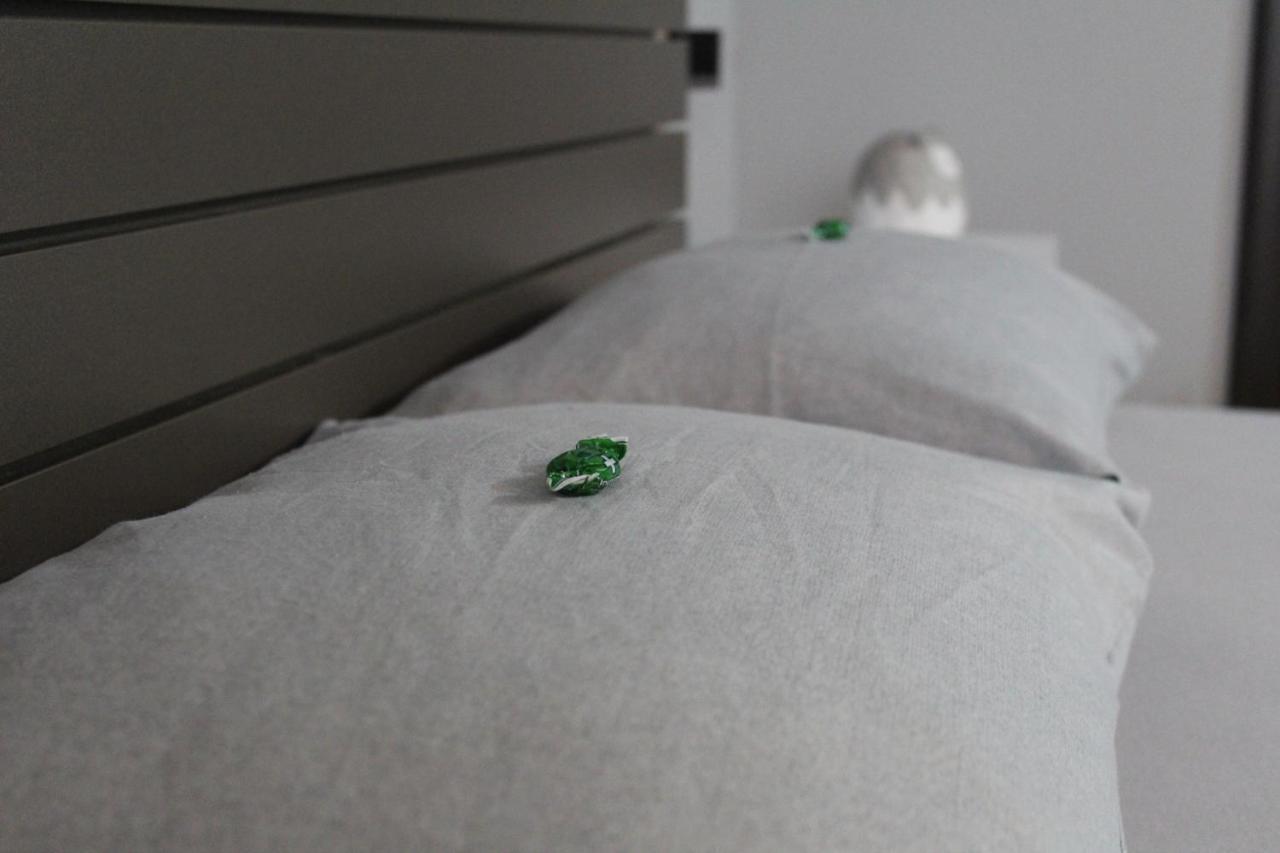 Apartman Daca ポドゴリツァ エクステリア 写真